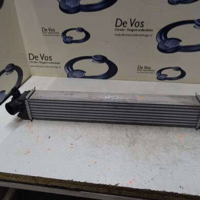 Peugeot Boxer  Intercooler 4H03 2019 1613994080