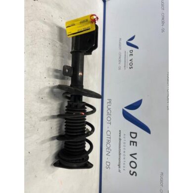 Peugeot Partner  Front shock absorber rod, left 2022 9852218480-9847334280