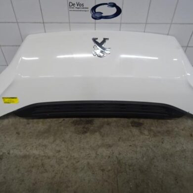 Peugeot Boxer  Bonnet 2019 1612246980