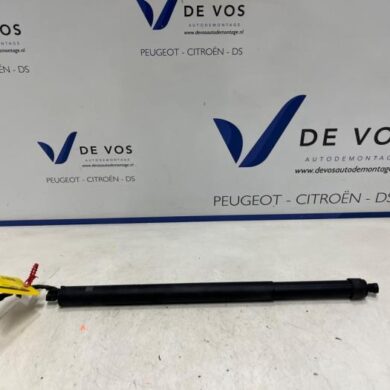 Citroen C5 Aircross 1.2 e-THP PureTech 130 Rear gas strut, left 2022 9817432680