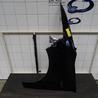 Citroen C4 Picasso  Scherm links-voor 2013 1612021980