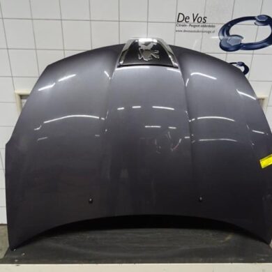 Peugeot 4007  Bonnet 2010 7901P4