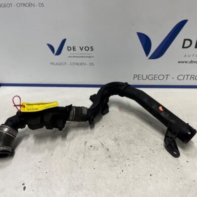 Citroen DS5 2.0 BlueHDI 150 16V Turboslang AHX-AH01 2016 9675758280