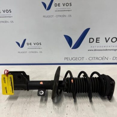 Peugeot Partner  Front shock absorber rod, right 2022 9852218480-9847334280