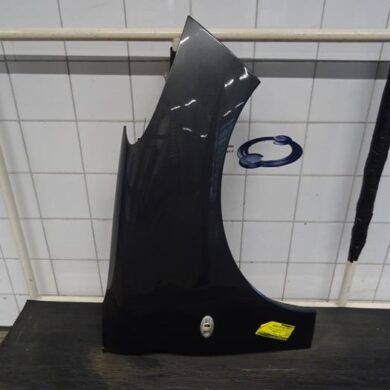 Peugeot 206 PLUS 1.4 XS Scherm rechts-voor 2011 7841Z5