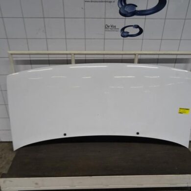 Citroen Jumpy 2.0 HDi 110 Bonnet 2003 7901H2