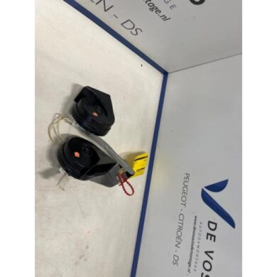 Peugeot 5008  Claxon 2021 9815870780