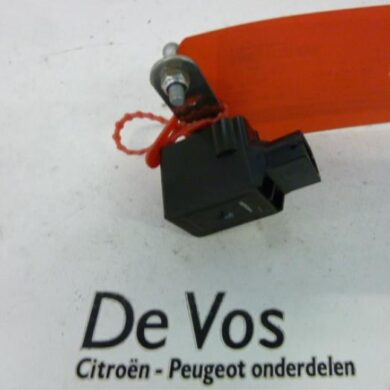 Citroen C4 Picasso 2.0 HDiF 16V 135 Sensor (overige) 2007