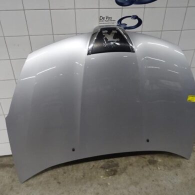 Peugeot 4007  Bonnet 2012 7901P4