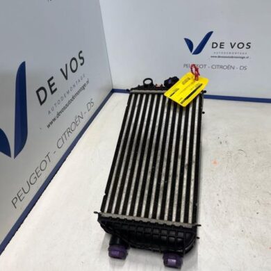 Citroen C4 1.2 PureTech 130 12V Intercooler HNS 2021 9824742280