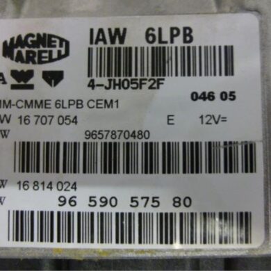 Citroen C8 2.0 HPi 16V Engine management computer RFJ 2005 1939RK-1943L8-1943L9