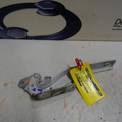 Peugeot 508  Bonnet Hinge 2016 9676670380-9818975980