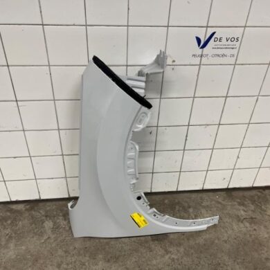 Citroen C4 ë-C4 X 54 kWh Scherm rechts-voor 2024 9831194480