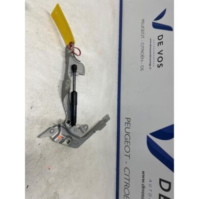 DS Automobiles DS7 Crossback 1.6 16V E-Tense 225 Motorkap Scharnier 2023 9829653680