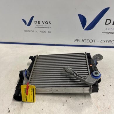 Citroen Jumpy 2.0 Blue HDI 150 Intercooler AHX-AH01 2022 9806562180