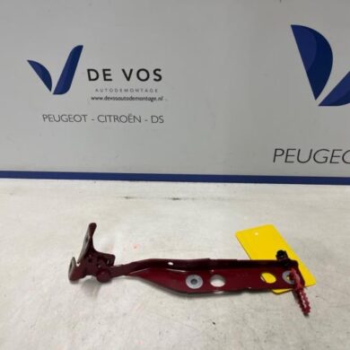 Citroen C4 Picasso 2.0 Blue HDI 150 Motorkap Scharnier 2019 9676115080