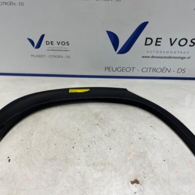 Citroen C3 Aircross 1.2 e-THP PureTech 110 Wheel arch strip 2018 YQ000654XT