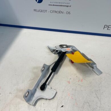 DS Automobiles DS7 Crossback  Bonnet Hinge 2018 9829653580