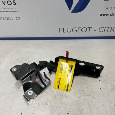 DS Automobiles DS4 1.2 12V Hybrid 136 Motorhaube Scharnier 2024 9830840680