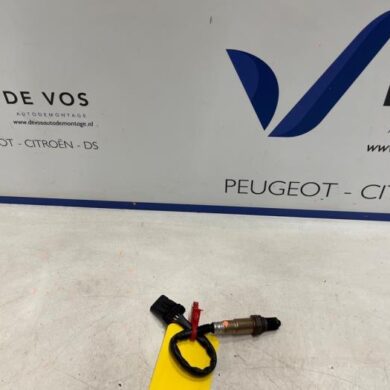 Citroen C5 Aircross  Lambda Sonde HNS-HN05 2022 9810666880