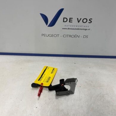 DS Automobiles DS4 1.2 12V Hybrid 136 Sensor (sonstige) 2024 9817423180