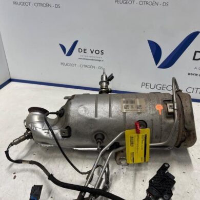 Peugeot Partner 1.5 BlueHDi 100 Particulate filter YHY-YH01 2020 9822860580-1631621980