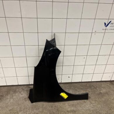 Peugeot 207 1.6 16V Front wing, right 2007 7841V0