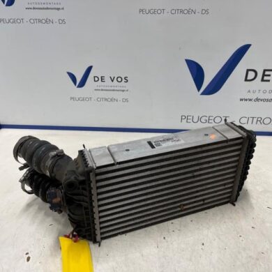 Opel Corsa 1.2 Turbo 12V 100 Ladeluftkühler HNE-HN05 2021 9824742280