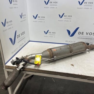 Peugeot Expert 2.0 Blue HDi 145 16V Roetfilter AH01 2022 9832811580-9845123180