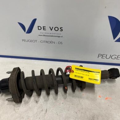 Citroen C4 Aircross 1.6i 16V 115 Rear shock absorber rod, left 2012 1607498680-1608191880