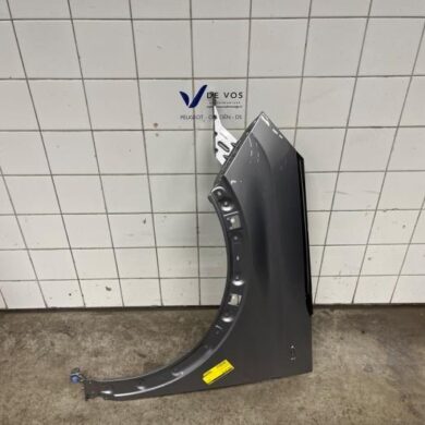 Peugeot 3008  Front wing, left 2021 9812305780