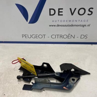 DS Automobiles DS7 Crossback 1.6 16V PureTech 225 Bonnet Hinge 2019 9829653580-9816748180