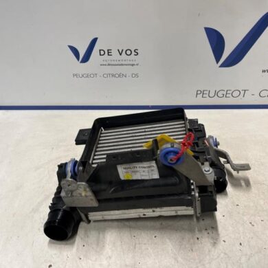 Peugeot 308 1.5 Blue HDi 130 16V Intercooler YHZ 2021 9675627980
