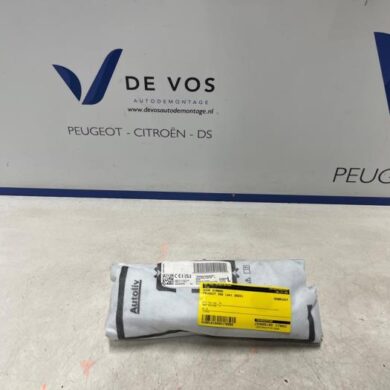 Peugeot 308  Side Airbag 2023 9846939780