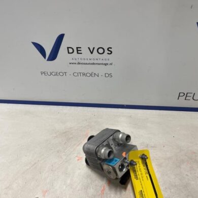 Citroen C4 ë-C4 X 54 kWh Warmtewisselaar ZKW-ZK02 2024 9831600480