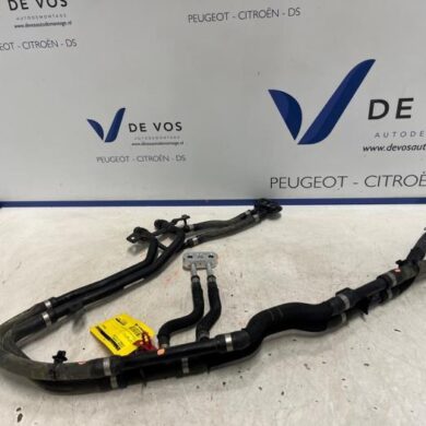 Citroen C4 ë-C4 X 54 kWh Leitung (sonstige) ZKW-ZK02 2024 9842629780 SX01