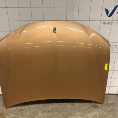 DS Automobiles DS4  Motorkap 2021 9834262380