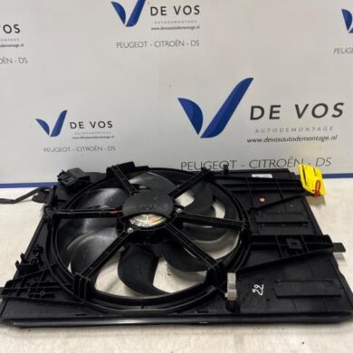 Peugeot 3008  Kühlgebläsegehäuse 2021 9832930080