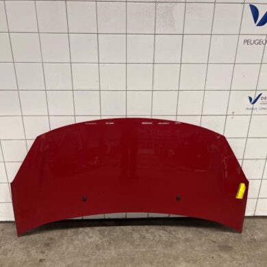 Citroen DS3  Bonnet 2013 7901R1
