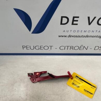 Citroen DS3  Bonnet Hinge 2013 7912F6