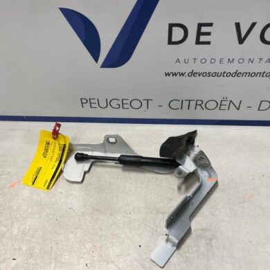 DS Automobiles DS7 Crossback  Bonnet Hinge 2018 9829653580