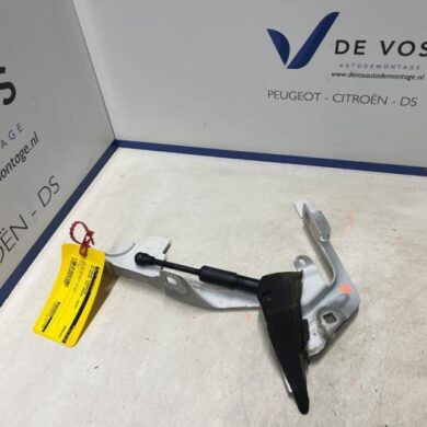 DS Automobiles DS7 Crossback  Motorkap Scharnier 2018 9829653680