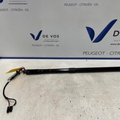 Citroen C4 Picasso 1.6 BlueHDI 115 Rear gas strut, left 2017 9812130180