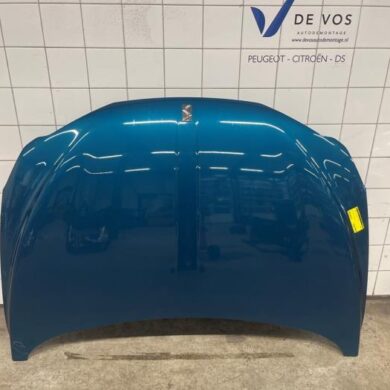 DS Automobiles DS3 Crossback 1.2 12V PureTech 155 Bonnet 2019 9824967380