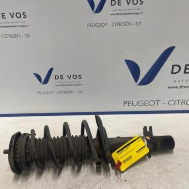 Citroen DS3  Front shock absorber rod, left 2013 5208H1