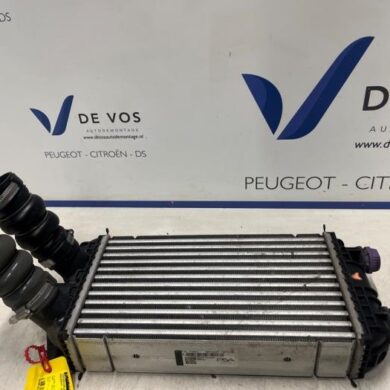 Peugeot 2008 1.2 VTi 12V PureTech 100 Intercooler HNK-HN05 2021 9824742280