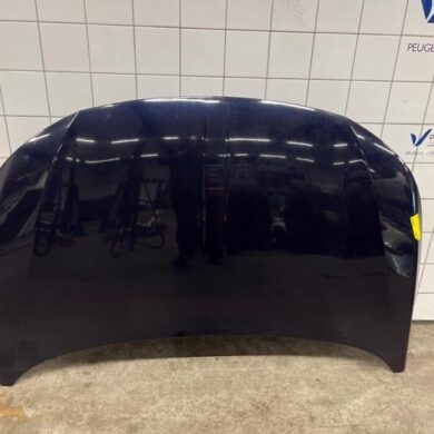 DS Automobiles DS7 Crossback 1.6 16V PureTech 225 Bonnet 2019 9819324980