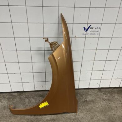 DS Automobiles DS4  Kotflügel links vorne 2021 9834264080-9830767380