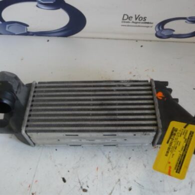 Citroen C4 Picasso  Intercooler RHR-RHRRH01 2008 0384K5