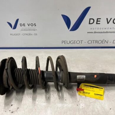 Peugeot 206 PLUS 1.4 XS Schokdemperpoot links-voor 2011 5202LV